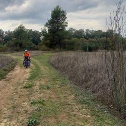 Pas mal de cross aujourd'hui