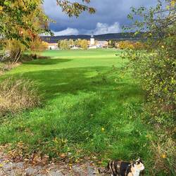 Berkach im Sonnenschein