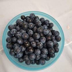 Unser Gefäß ist voll, mehr konnten wir nicht transportieren.