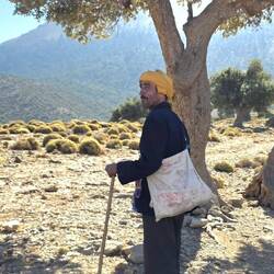 This shepard popped up in the early morning looking for a missing sheep
