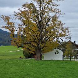 Small chapel on route. We see a lot of these but not sure of their history