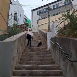 ... no sea cosa que algun dia descansemos..