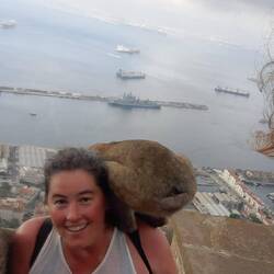 ... hasta que a uno se le ocurrió saltarme a la espalda para hurgar en mi mochila.