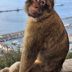 Me caian simpaticones...