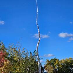 Sculpture outside of the gallery