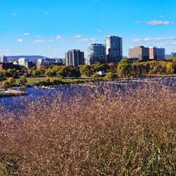 A view of Gatineau