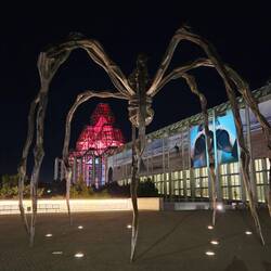 The spider and the gallery at night
