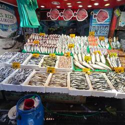 Market