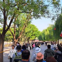Our pathway to the Forbidden City.