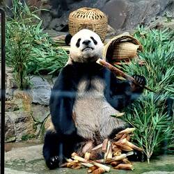 Commence the 'awwww'....