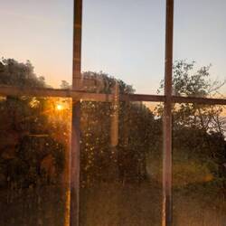 Guten Morgen liebe Sonne 😃