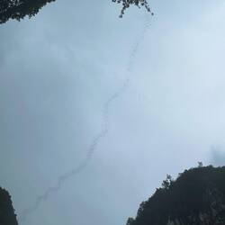 Ausflug der Fledermäuse aus der Deer Cave