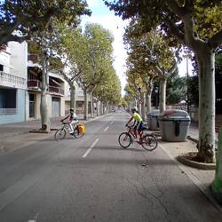 Eine der vielen Platanenalleen in Frankreich und Spanien.