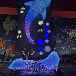 Der Besuch hat sich gelohnt