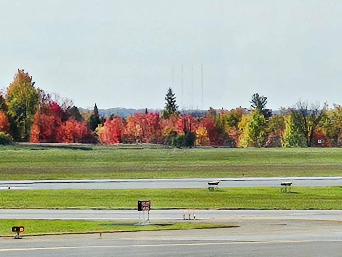 One last photo of those red leaves