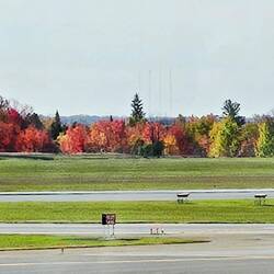 One last photo of those red leaves