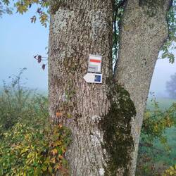 Der Jeanne d'Arc Pfad ist weiss/rot gekennzeichnet.