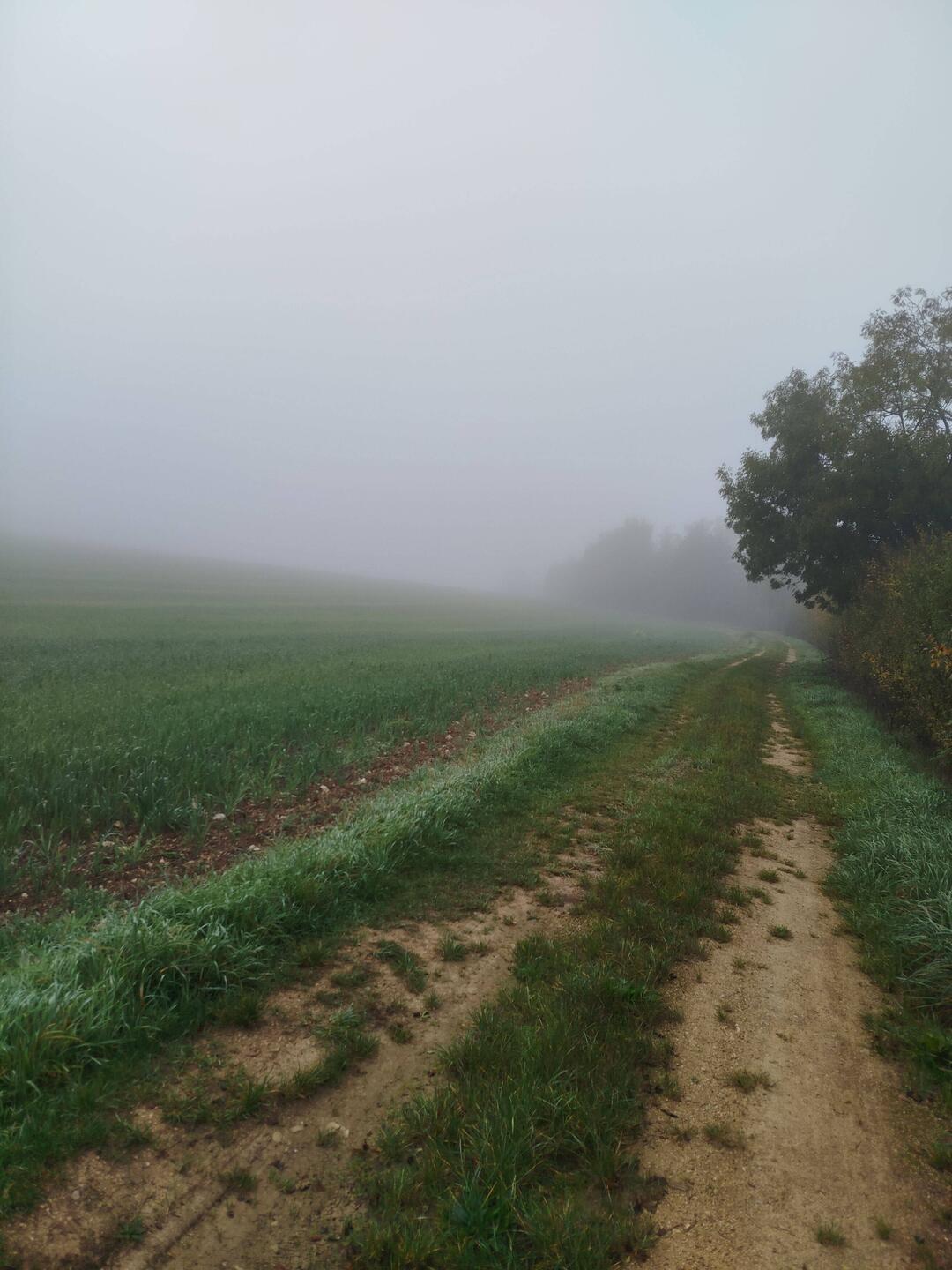 Etwas neblig am frühen Morgen