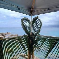 Schon für heute Abend schön geschmückt.