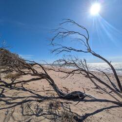 Spiaggia di Borgo Bonsignore