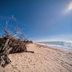 Spiaggia di Borgo Bonsignore