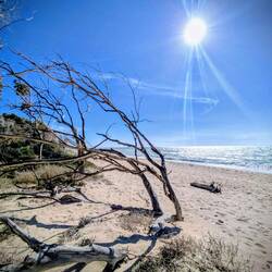 Spiaggia di Borgo Bonsignore