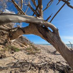 Spiaggia di Borgo Bonsignore
