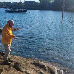 Wolfsbarsch soll sehr gut schmecken! Aber ...