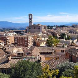 Schöne Aussichte. Gutes Licht. Im Hintergrund sieht man halblinks Assisi
