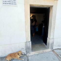 Visite de la maison de Jacinta et Francisco