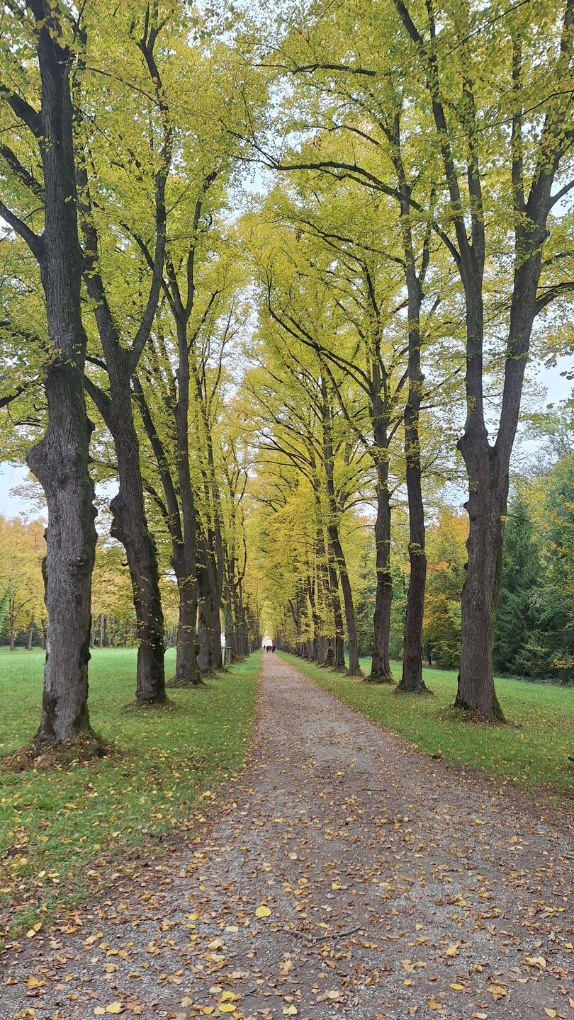 Pathway to the Palace