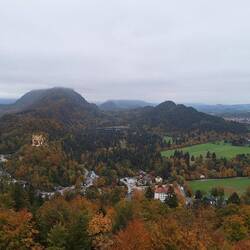 Looking out to the lake