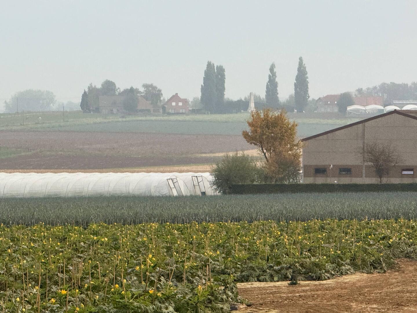 Looking from Tyne Cot towards the allies' lines