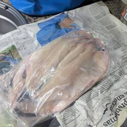 3 Forellen ca. 1kg für gerade mal 4.-