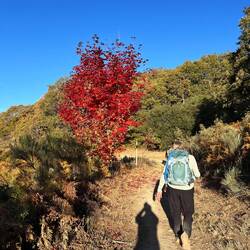 Starting the long hike down.