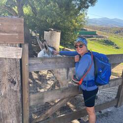 Amy can't pass an animal without giving it a little love. 🫏❤️