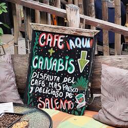 In den Bergen hier wird wohl nicht nur Kaffee angepflanzt😉.