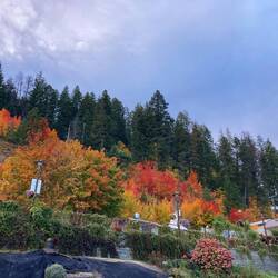 Hotel der Ainsworth Hot Springs im herbstlichen Farbmeer.