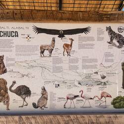 die Bewohner dieser scheinbar leblosen Gegend