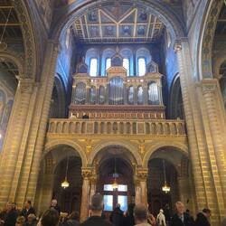 6000 pipe organ
