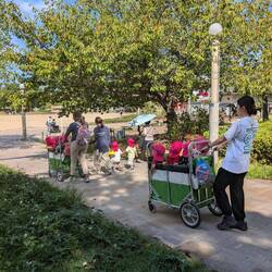 Park interlude, phenomenal