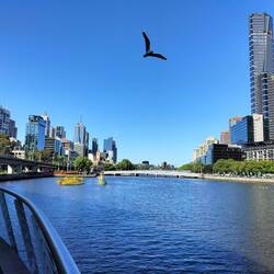 Eind van de middag naar de Yarra River