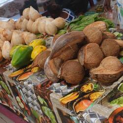 Mit allgegenwärtiger Kokosnuss