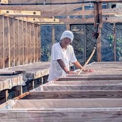 Graduate student working in the salt factory
