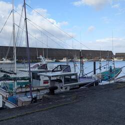 Muroto, small harbour, huge sea wall