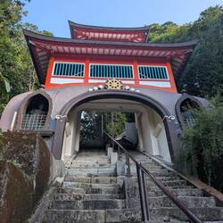 Temple 25 main gate - steps were a challenge for an elderly Japanese lady