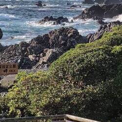 Rocky shore