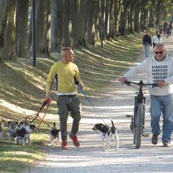 Manch einer führt hier gleich 5 Hunde aus