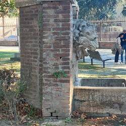 Löwe beisst Bank - der ist sauer denn er steckt in der Mauer