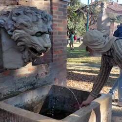 Löwe füttern ist angesagt